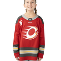 CHANDAIL CHARGE D’OTTAWA DE BAUER X LPHF
